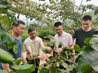 生態(tài)學院“品質(zhì)農(nóng)業(yè)科技服務團”——信息技術賦能麗水農(nóng)業(yè)高質(zhì)量發(fā)展