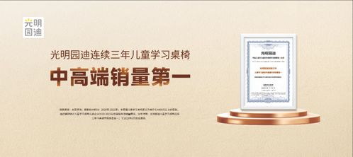 光明園迪年度報告 持續(xù)創(chuàng)新發(fā)展，堅守高端品質(zhì)，引領信息技術服務