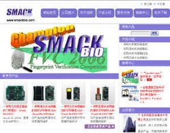 斯麥克信息技術(shù) 引領(lǐng)信息技術(shù)服務(wù)新篇章